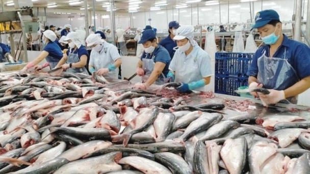 1 ton of seafood by-products can produce 300 - 400kg of protein